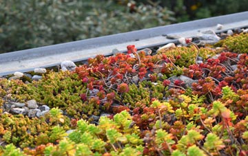 the cost of Rushcombe Bottom green roof installation