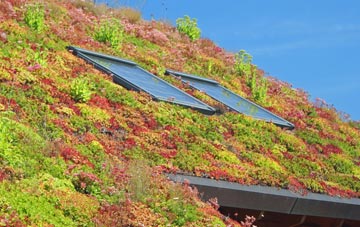 Rushcombe Bottom living roof systems