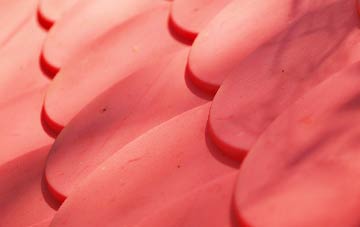 Rushcombe Bottom plastic roof costs