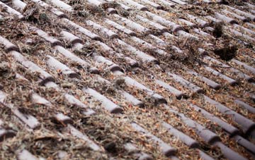 Rushcombe Bottom roof cleaning companies