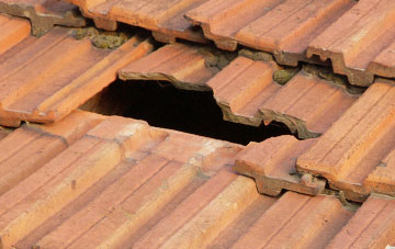 roof repair Rushcombe Bottom, Dorset